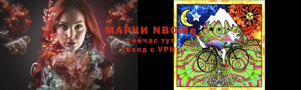 шишки Арсеньев