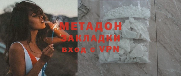 шишки Арсеньев