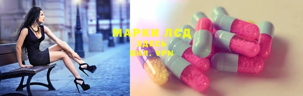 шишки Арсеньев