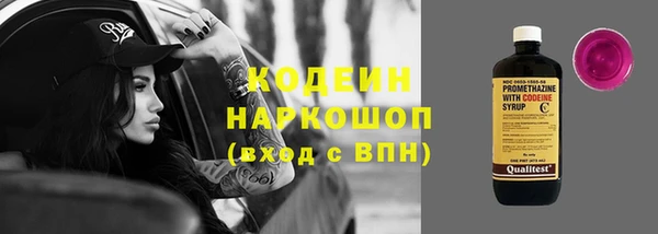 шишки Арсеньев