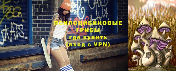 МДПВ Армянск