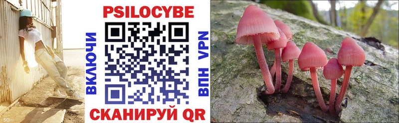 Псилоцибиновые грибы прущие грибы  мега вход  darknet официальный сайт  Белинский 